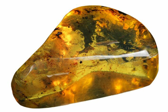 Polished Chiapas Amber ( g) - Mexico #180485